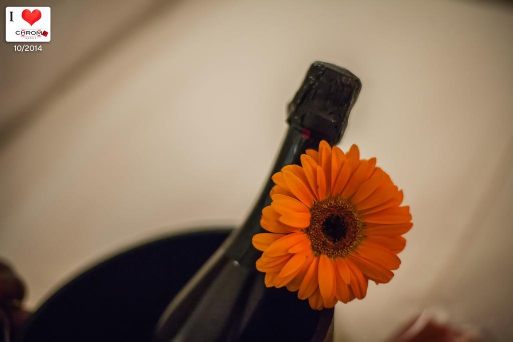 Bed and Breakfast Chroma Domus Fiano Romano Zimmer foto